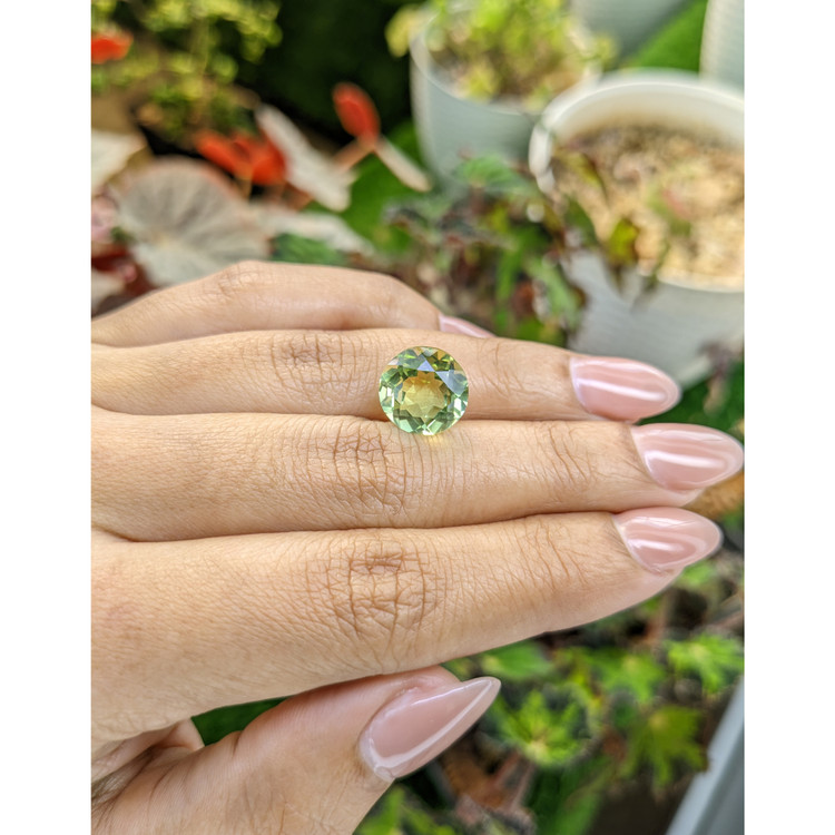5.67 Ct. Yellowish Green Prasiolite from Brazil