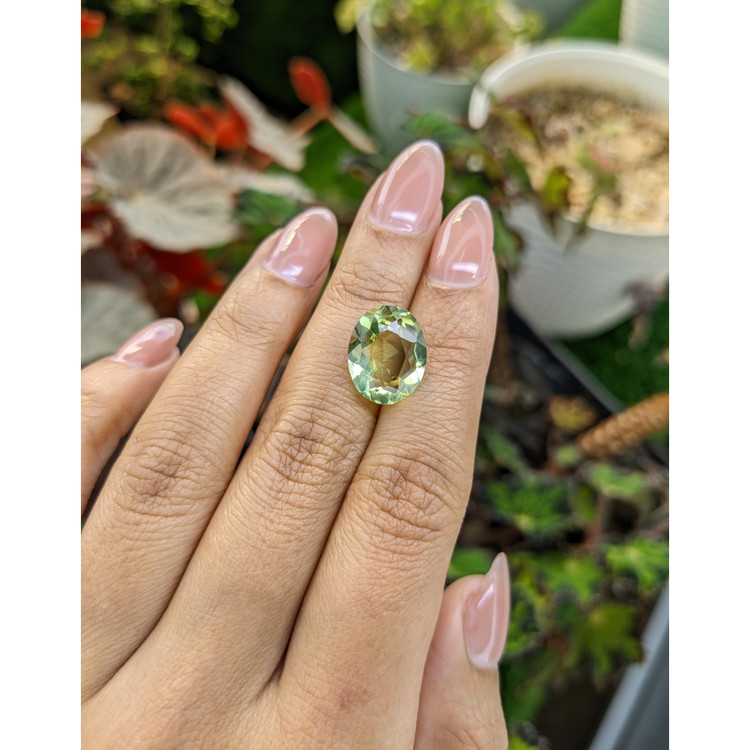6.00 Ct. Yellowish Green Prasiolite from Brazil