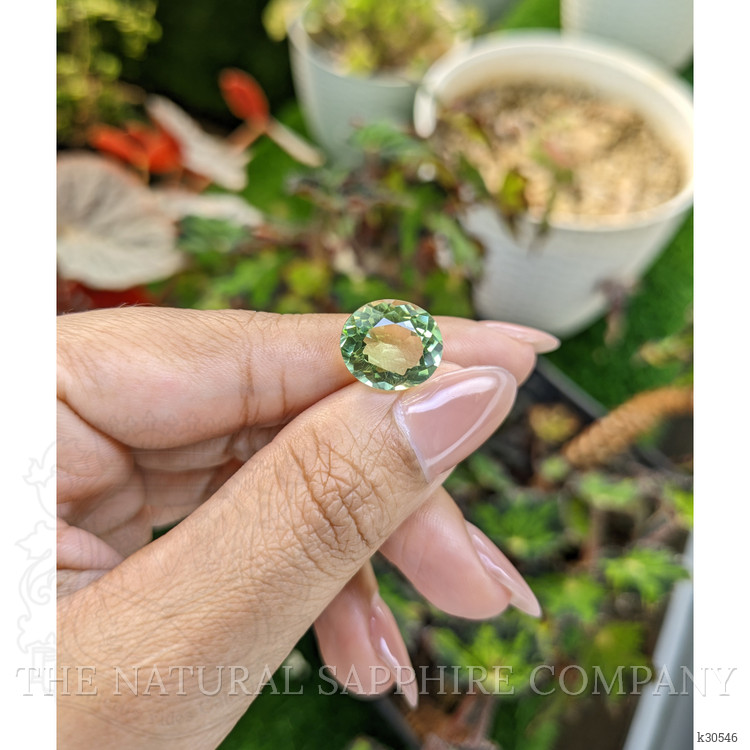 5.77 Ct. Yellowish Green Prasiolite from Brazil