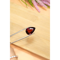15.74 Ct. Garnet from Ceylon (Sri Lanka) Life Style