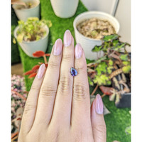 1.39 Ct. Purple Spinel from Ceylon (Sri Lanka) Life Style
