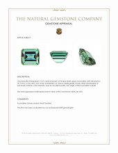 12.27 Ct. Bluish Green Tourmaline from Brazil Appraisal