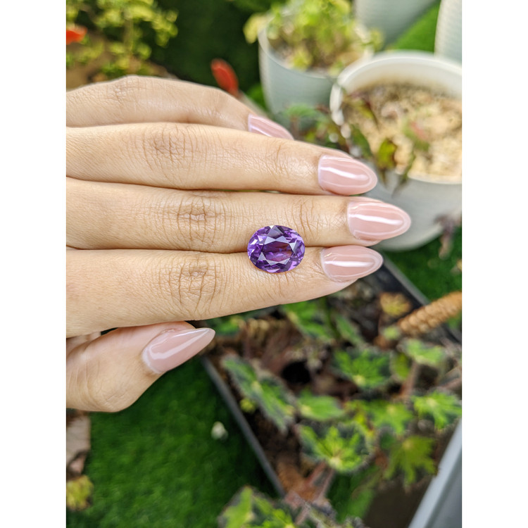 6.60 Ct. Purple Amethyst from Brazil