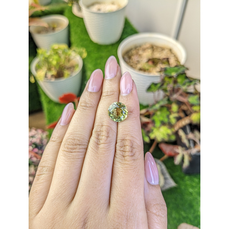 5.84 Ct. Yellowish Green Prasiolite from Brazil