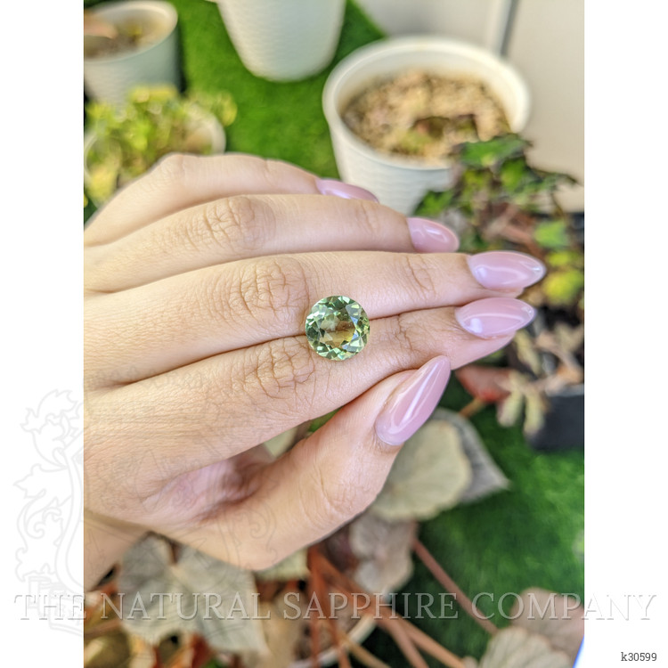 5.61 Ct. Yellowish Green Prasiolite from Brazil