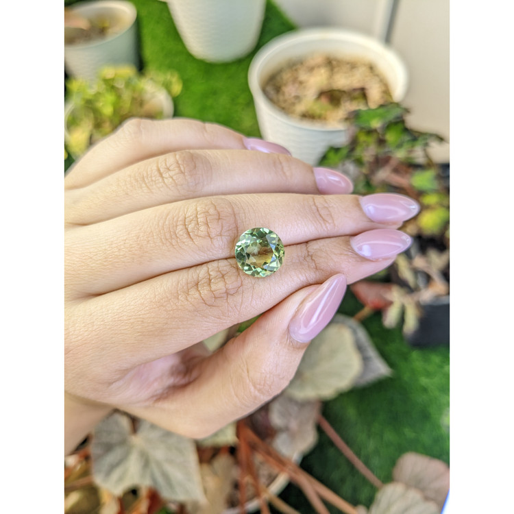 5.61 Ct. Yellowish Green Prasiolite from Brazil