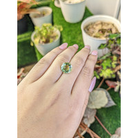 5.61 Ct. Yellowish Green Prasiolite from Brazil Life Style