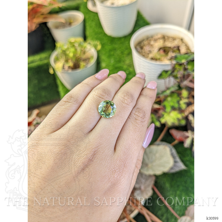 5.61 Ct. Yellowish Green Prasiolite from Brazil