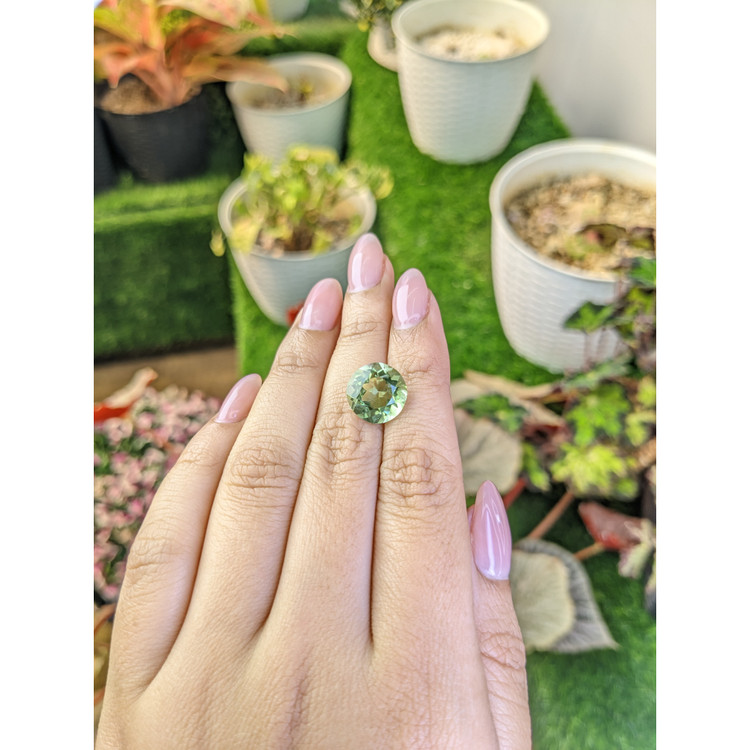 5.73 Ct. Yellowish Green Prasiolite from Brazil