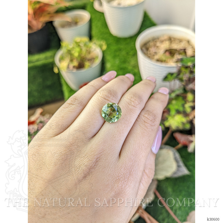5.73 Ct. Yellowish Green Prasiolite from Brazil