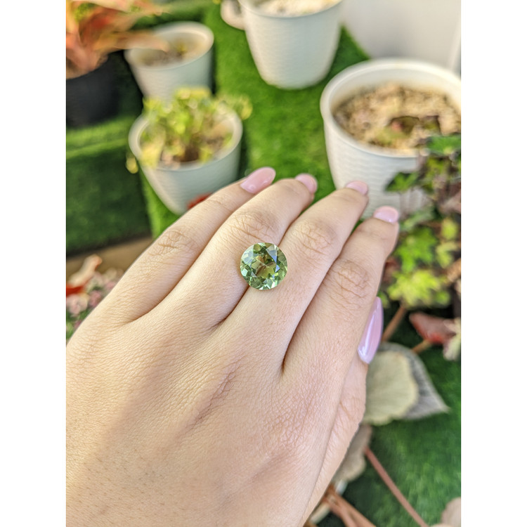 5.73 Ct. Yellowish Green Prasiolite from Brazil