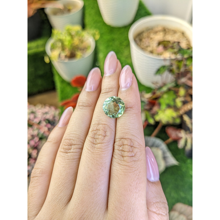 6.16 Ct. Yellowish Green Prasiolite from Brazil