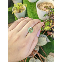 6.16 Ct. Yellowish Green Prasiolite from Brazil Life Style