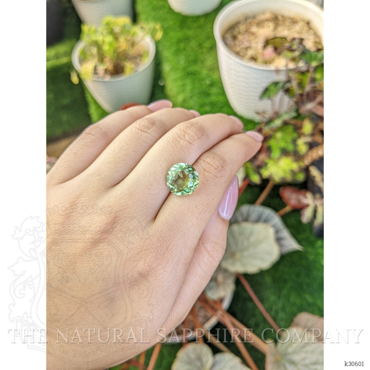 6.16 Ct. Yellowish Green Prasiolite from Brazil