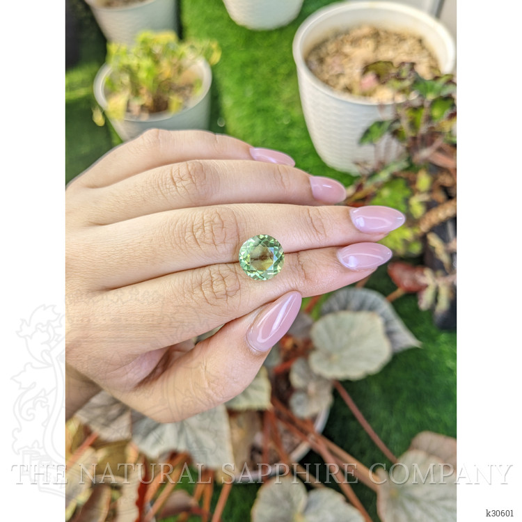 6.16 Ct. Yellowish Green Prasiolite from Brazil