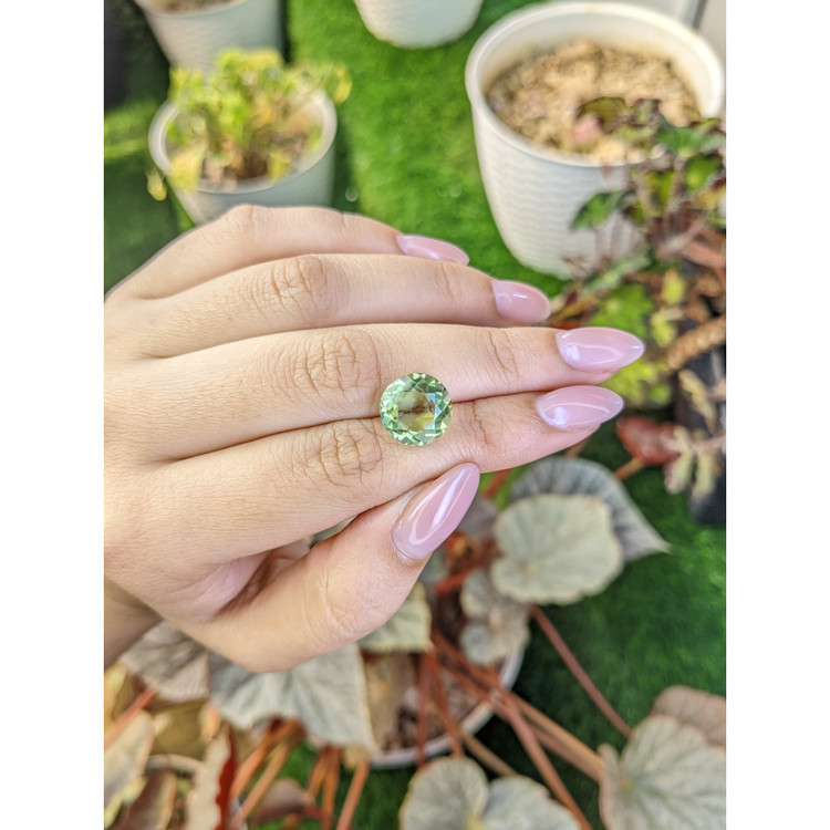 6.16 Ct. Yellowish Green Prasiolite from Brazil