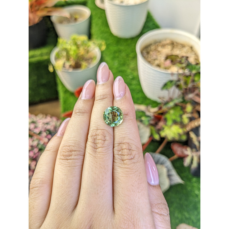 5.53 Ct. Green Prasiolite from Brazil