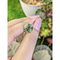5.53 Ct. Green Prasiolite from Brazil Life Style