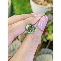 5.02 Ct. Green Prasiolite from Brazil Life Style