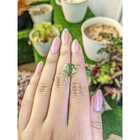 6.08 Ct. Yellowish Green Prasiolite from Brazil Life Style