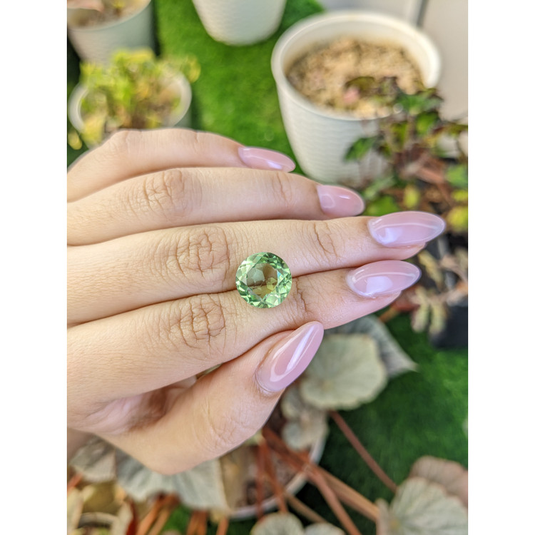 6.08 Ct. Yellowish Green Prasiolite from Brazil