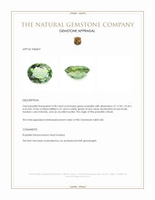 4.98 Ct. Green Prasiolite from Brazil Appraisal