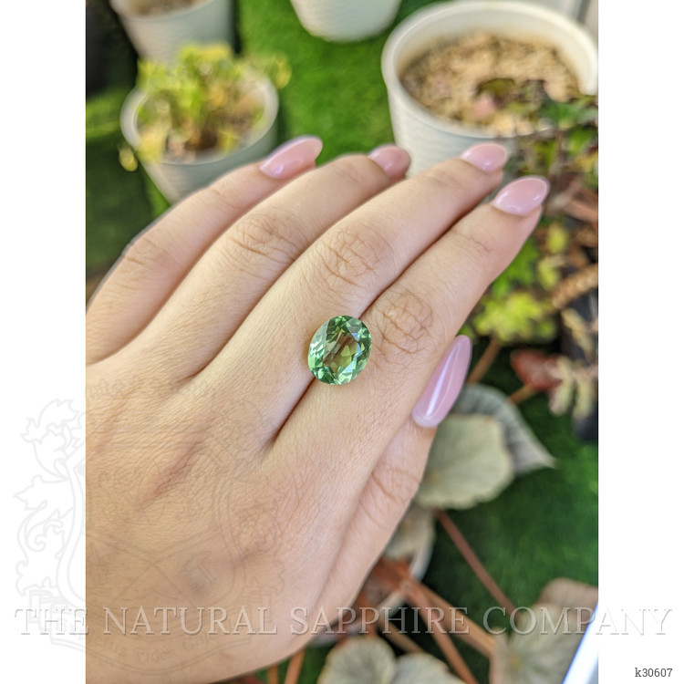 4.98 Ct. Green Prasiolite from Brazil