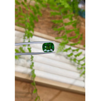 5.10 Ct. Tsavorite Garnet from Tanzania Life Style