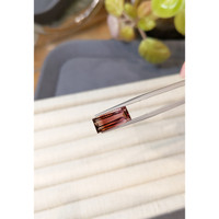 4.43 Ct. Bi Color Tourmaline from Mozambique Life Style