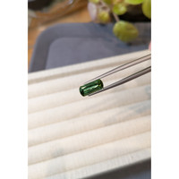 2.48 Ct. Green Tourmaline from Mozambique Life Style