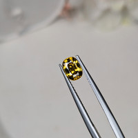 1.14 Ct. Brownish Yellow Zircon from Ceylon (Sri Lanka) Life Style