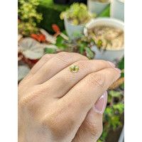 1.53 Ct. Yellow Zircon from Ceylon (Sri Lanka) Life Style