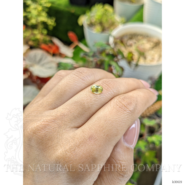 1.53 Ct. Yellow Zircon from Ceylon (Sri Lanka)