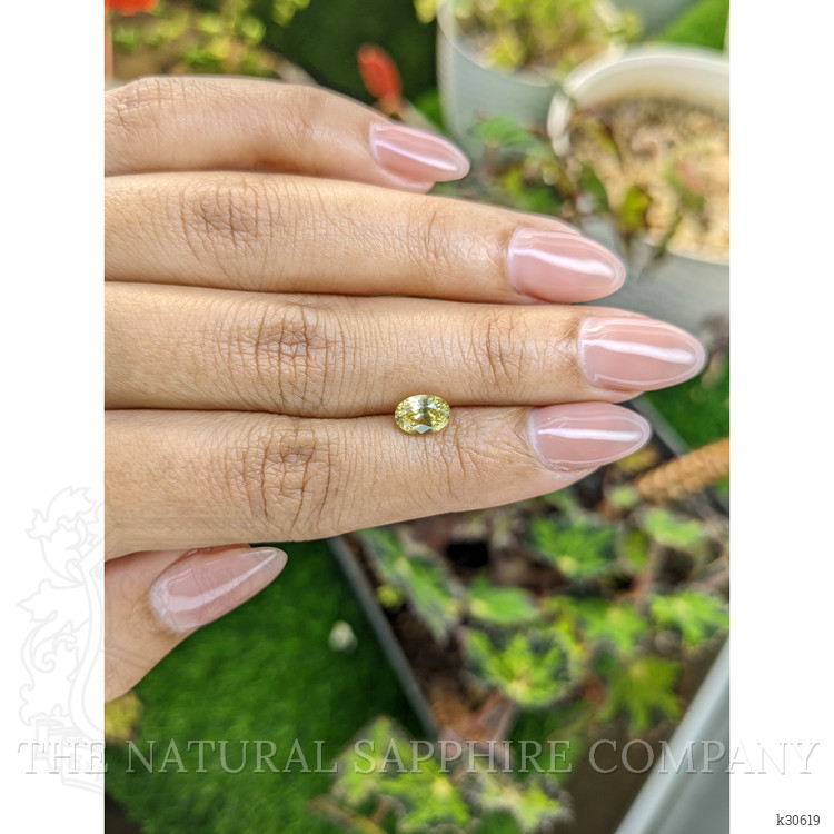 1.53 Ct. Yellow Zircon from Ceylon (Sri Lanka)