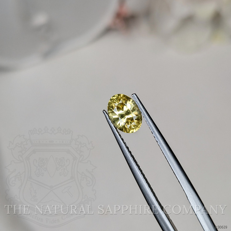 1.53 Ct. Yellow Zircon from Ceylon (Sri Lanka)
