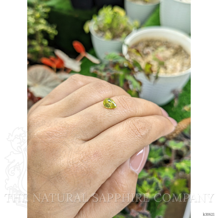 1.62 Ct. Yellow Zircon from Ceylon (Sri Lanka)