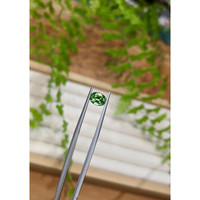 1.11 Ct. Green Chrome Tourmaline from Africa Life Style