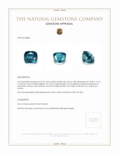 23.74 Ct. Zircon from Ceylon (Sri Lanka) Appraisal