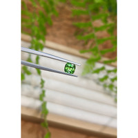 0.81 Ct. Green Chrome Tourmaline from Africa Life Style
