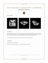 13.59 Ct. White Topaz from Brazil Appraisal