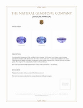 12.50 Ct. Paraiba Tourmaline from Mozambique Appraisal
