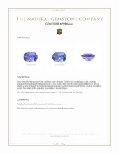 12.50 Ct. Paraiba Tourmaline from Mozambique Appraisal