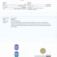 12.50 Ct. Paraiba Tourmaline from Mozambique Scan Report