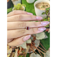 1.61 Ct. Red Garnet from Ceylon (Sri Lanka) Life Style