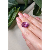12.83 Ct. Tourmaline from Brazil Life Style