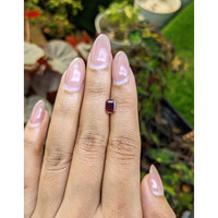 0.68 Ct. Purplish Red Rhodolite Garnet from Ceylon (Sri Lanka) Life Style