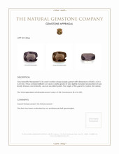 2.36 Ct. Garnet from Ceylon (Sri Lanka) Appraisal