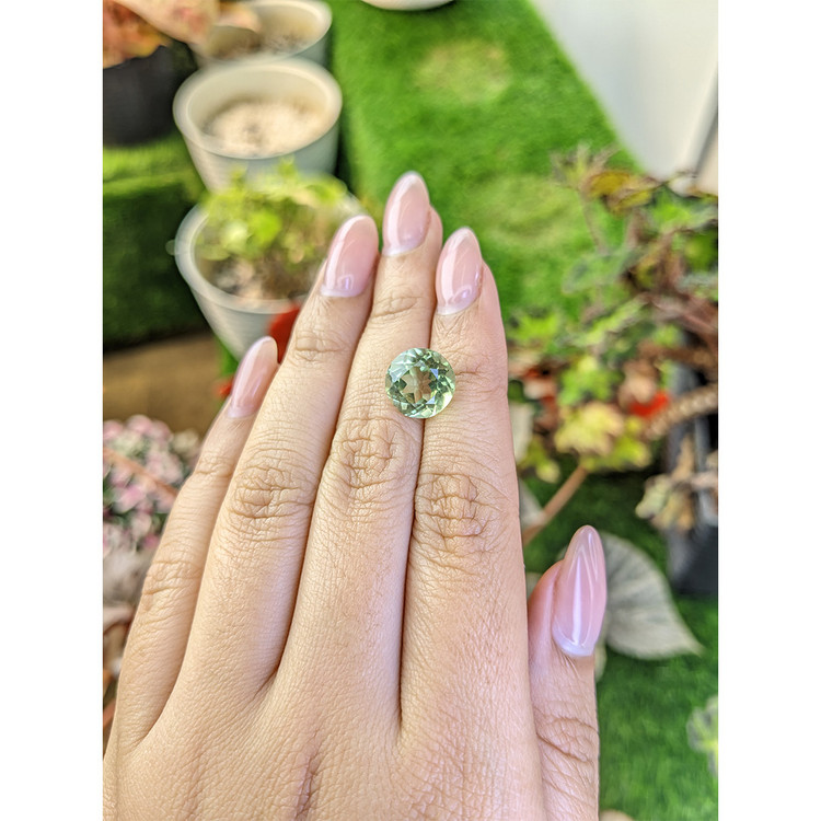 5.07 Ct. Yellowish Green Prasiolite from Brazil