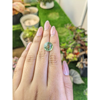 5.76 Ct. Green Prasiolite from Brazil Life Style