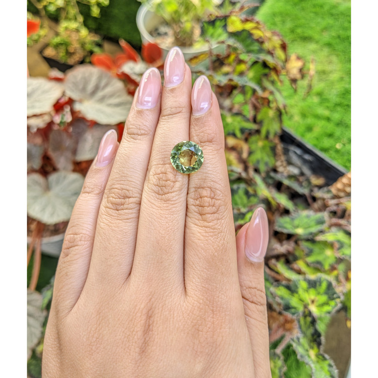 5.01 Ct. Yellowish Green Prasiolite from Brazil